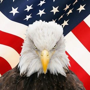 Meet your Posher, Duane